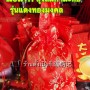 ถุงส้ม รุ่นทองมงคล 0